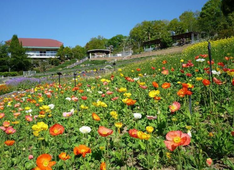 Wakayama Prefecture Botanical Park Ryokka Center, Japan